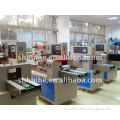 High Speed Auto Pillow Packing Machine